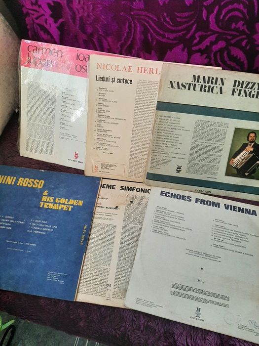 Discuri vinil în conditi  f   bune !