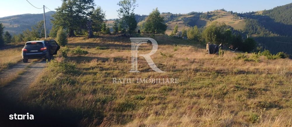 Teren Intravilan | 3.000 mp | Gârda de Sus | Alba |
