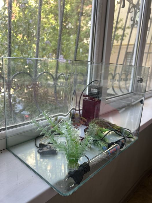 Аквариум для рыбы