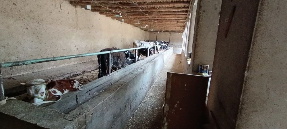 Yer sotiladi Ferma sotiladi