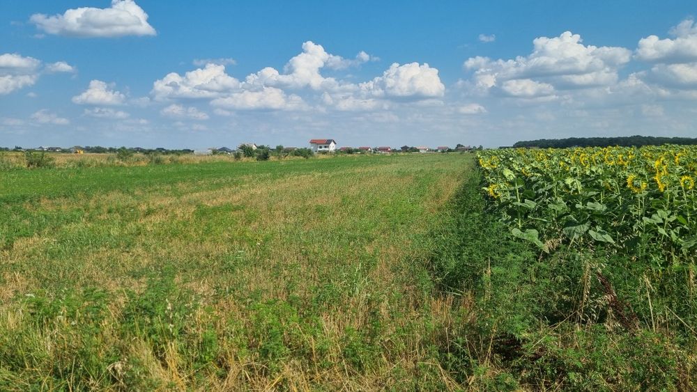 Vand teren Cosoba direct proprietar