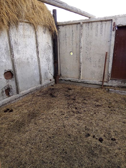 Продаю дом  село жанакала