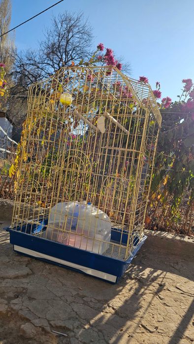 Клетка для попугаев