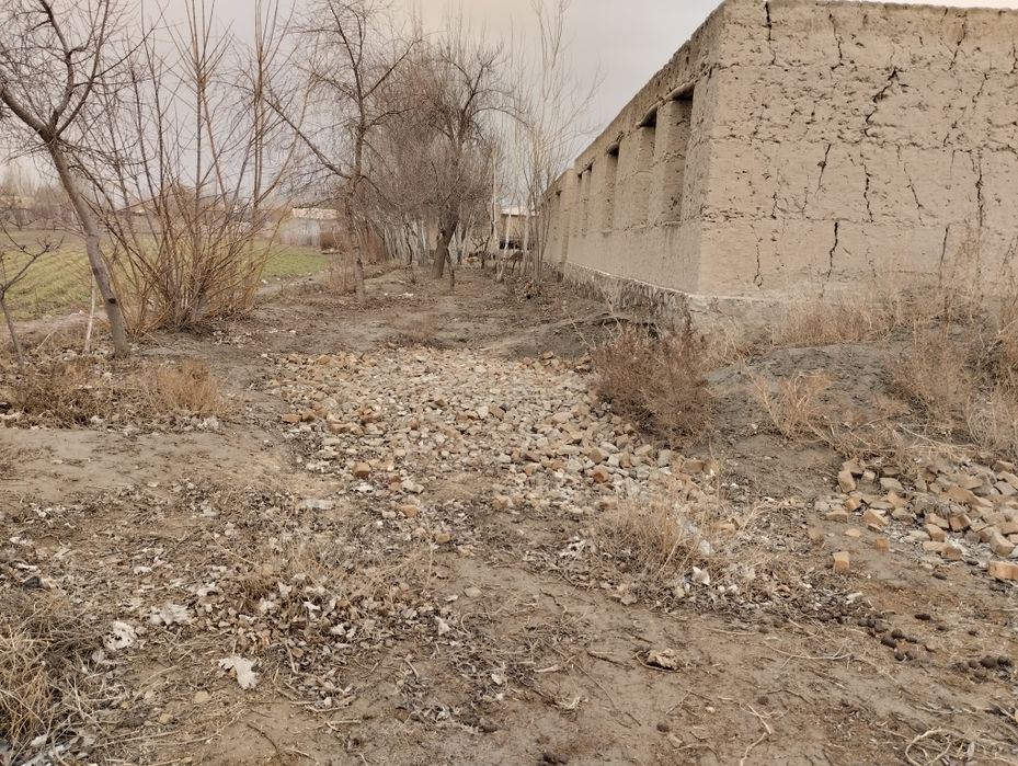 Uy joy 3 xujalikga moslashtirilgan