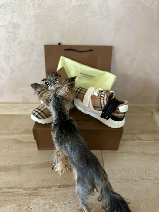 Regis Check Sneakers BURBERRY Коледно Намаление