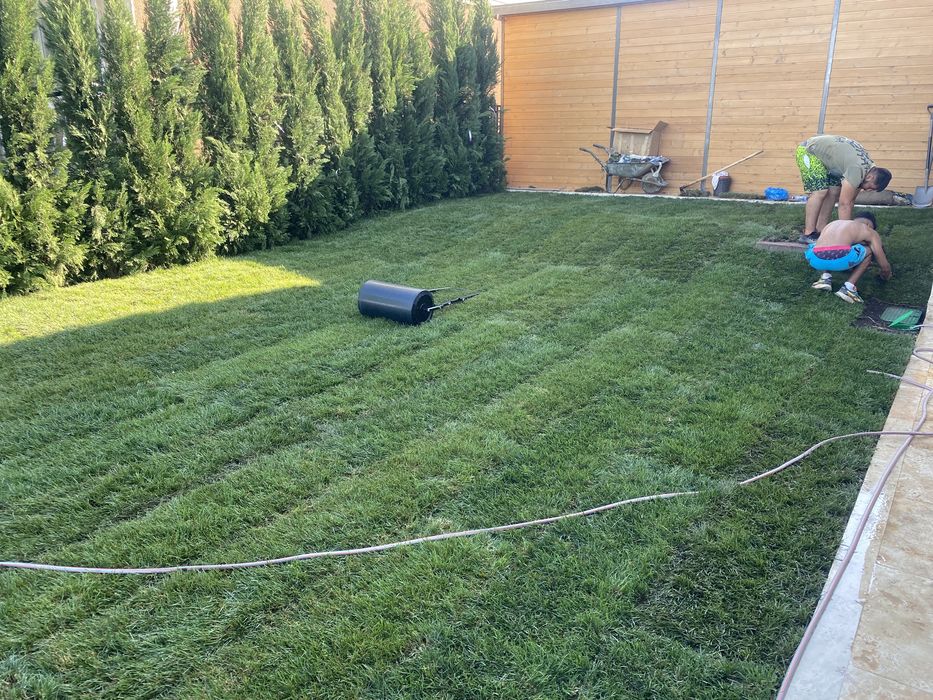 Montăm gazon rulou