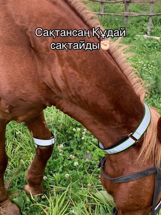 Светоотражающие лента