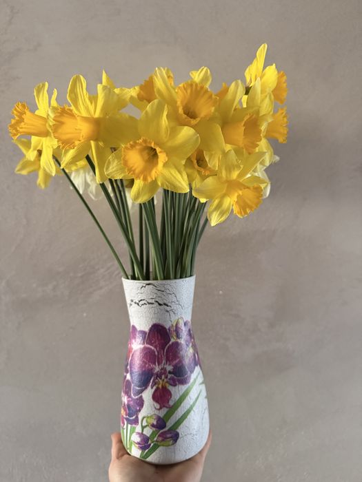 Vand narcise en gros,50 fire/pachet,parfumate,superbe