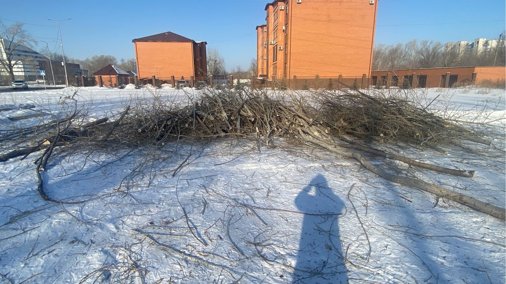 Отдам дрова бесплатно самовывоз район усолка