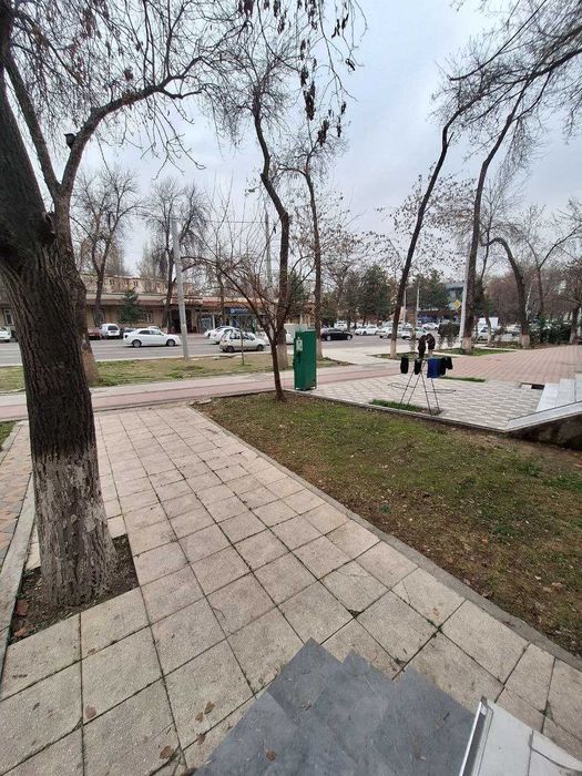 Нотурар офис(ofis) ижарага арендага берилади 60м2 Чилонзор 11 квартал