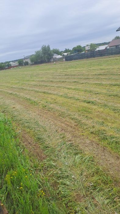 De vânzare teren intravilan Gostinari  Giurgiu