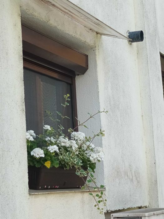 Rulouri exterioare din Aluminiu acționate manual, electric sau solar.