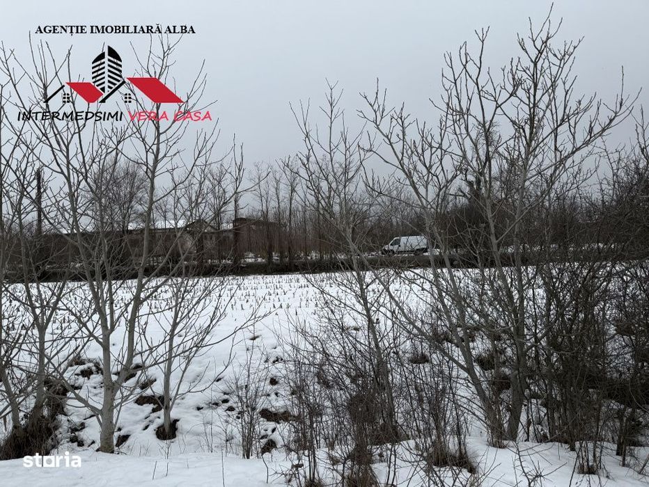 Teren intravilan 3900 mp de vanzare pe Centura Alba iulia ( konti )