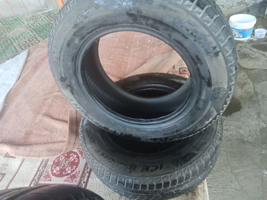 Балон екеуы летни екеуы зимни