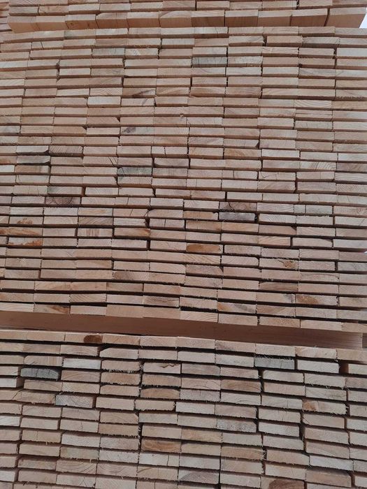 Cherestea Scandura Tivita Brad Molid Rasinoase