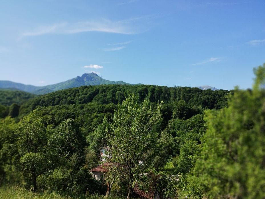 Панорамен Парцел в гр. Априлци в регулация и ПУП за курортен обект