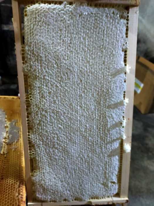 Roi,miere,stupi,polen,rame cu miere pline