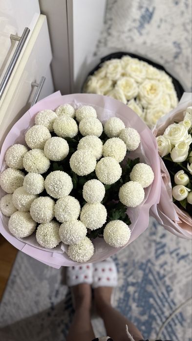 продам цветыыыыыы