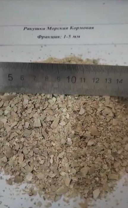 Ракушка кормовая