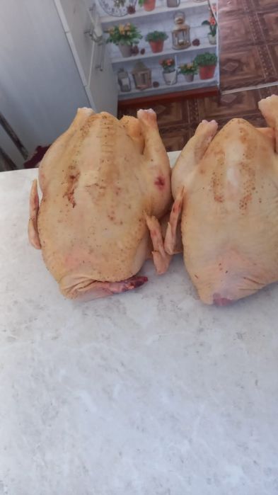 Продам мясо бройлеров