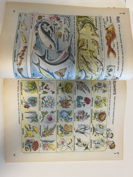 Английски образователни книги за деца