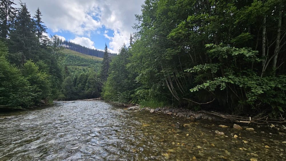 Teren Obarsia Lotrului Râul Lotru Lacul Vidra Transalpina Ski Resort