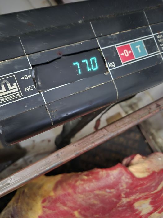 Мясо ет оптом социалный  баға