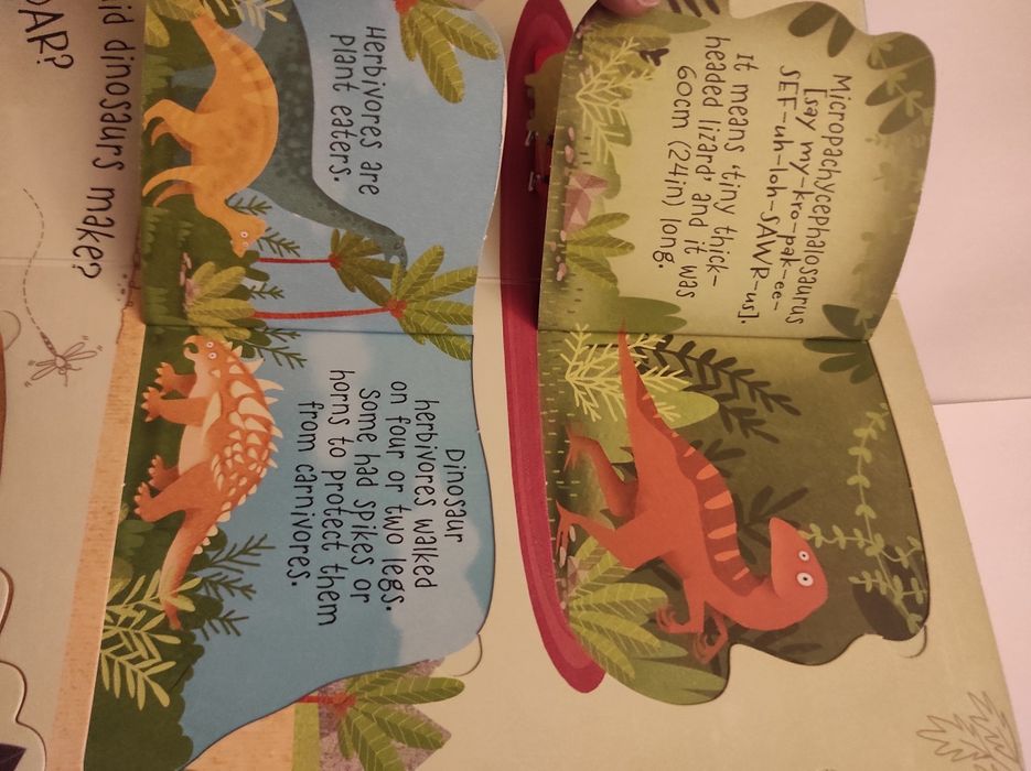 Carte pentru copii engleza - Questions and Answers about Dinosaurus