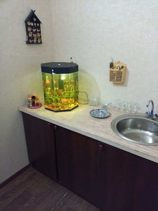 yakkasaroy bobur park, seoul mun