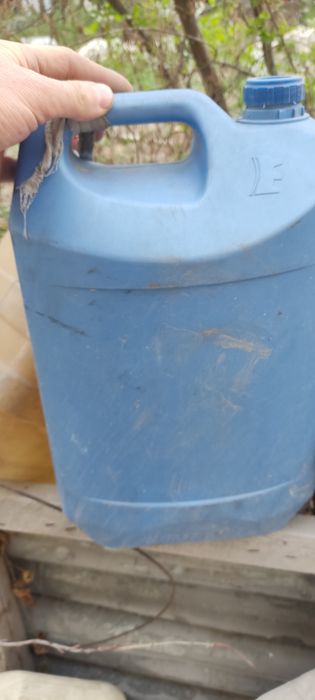 Конистрра советская .