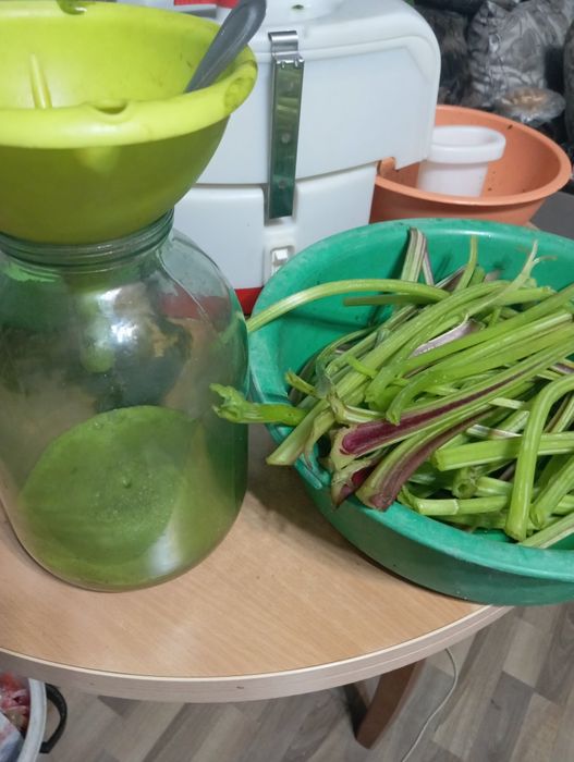 Сок лопуха на меде.