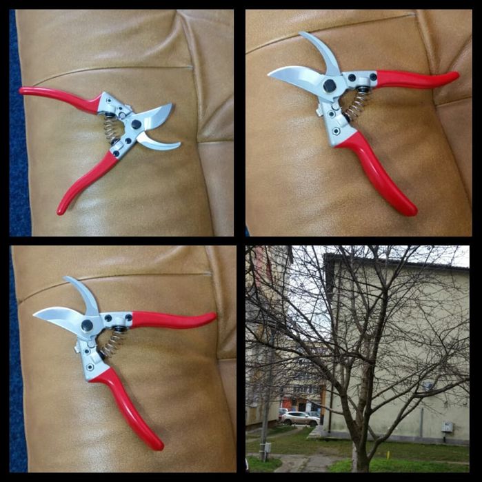 curatare-toaletare a pomilor fructiferi, vita de vie, arbusti, garduri