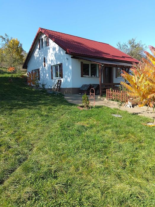 Vand casa noua cu 4300 mp intravilan, vie si livada bio la 45 min de Cluj