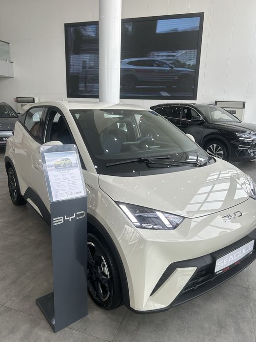 BYD SEAGULL 405 KM Flying 2025 от официального  ДИЛЕРА BYD ROHAT