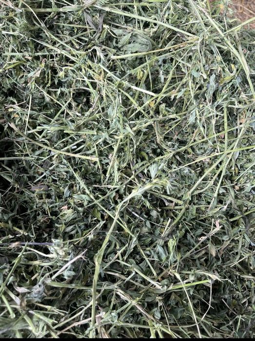 Baloti de Lucerna ,fan si cereale