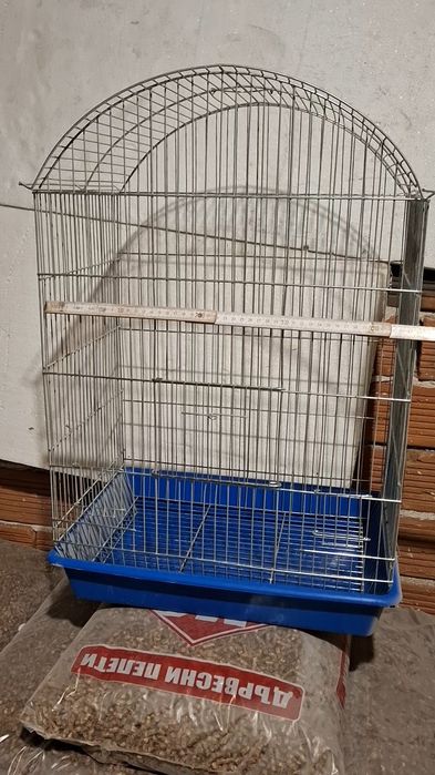 Ръчнохранен социален вълнист изложбен папагал