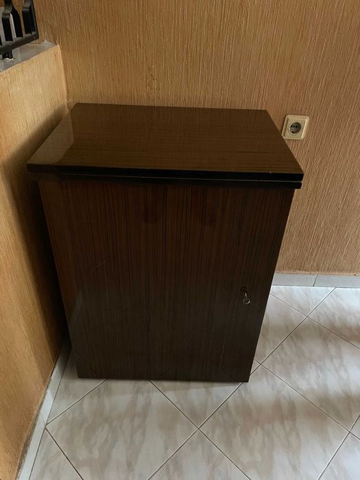 Шевна машина Лучник крачна и електрическа