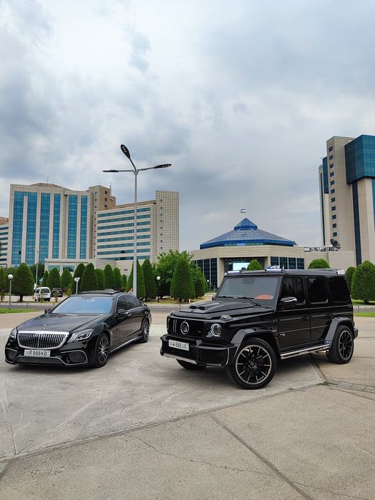 Той Кортеж Родом Toy Kortej Rodom888