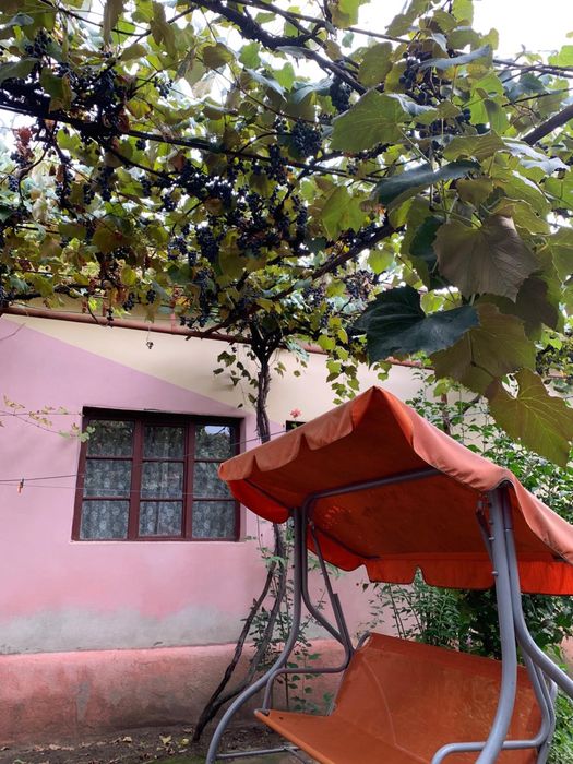 Vand casa la tara