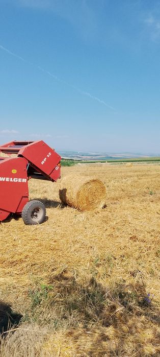 Vând baloți dreptunghiulari lucernă și paie,rotunzi