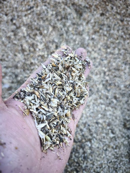 Продам отходы зерноотходы зерносмесь