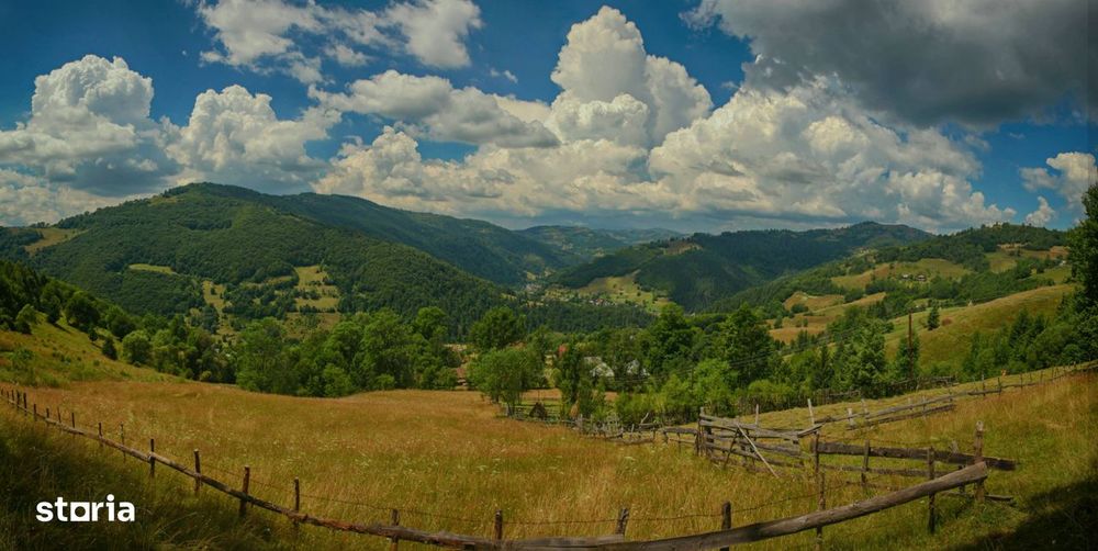 Complex turistic în Munții Apuseni–3 clădiri, 10 camere, teren 3740 mp