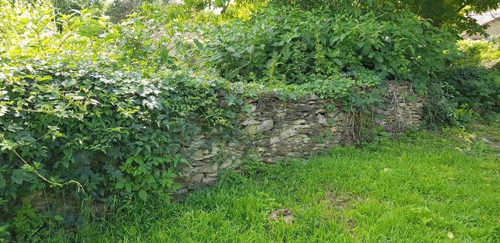 Парцел с. Леденик