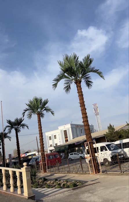 Sun'iy palmalar | bepul dizayn loyihasi | 30% chegirma