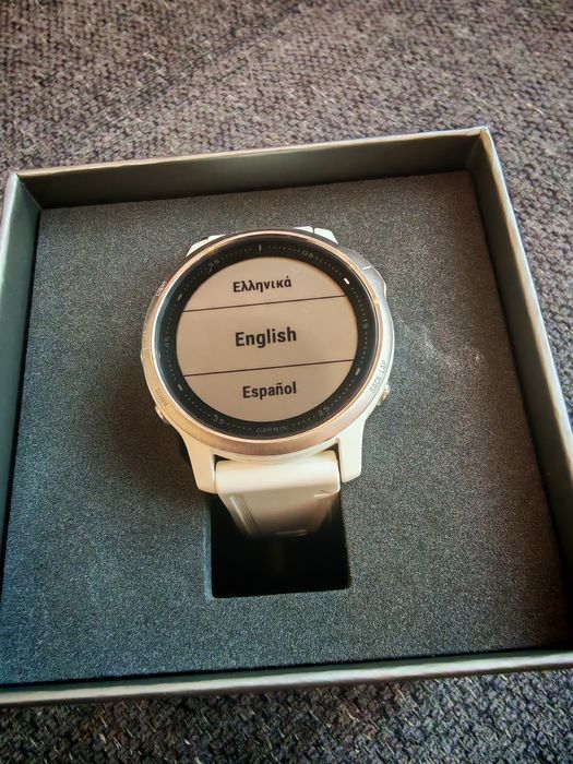 Ceas Garmin Fenix 6S