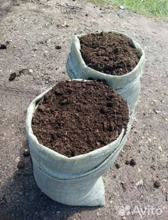 Перегной с доставкой