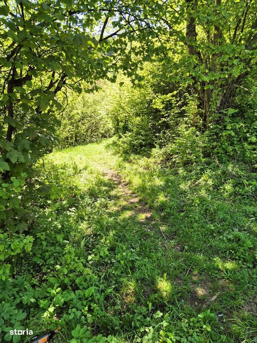 Teren 1577 mp, intravilan Schei, Brasov