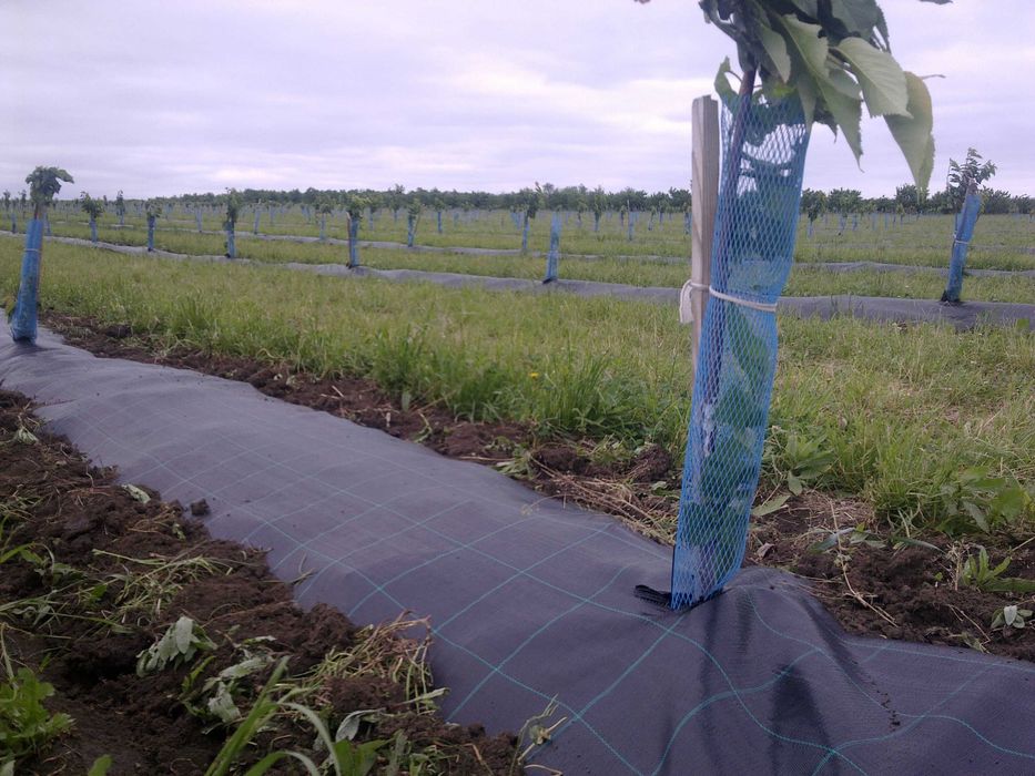 Folie agrotextil antiburuieni