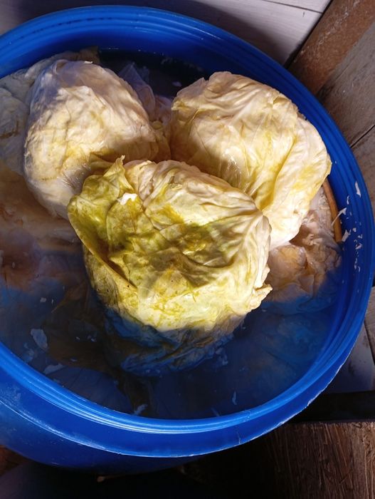 Varza murata pentru sarmale