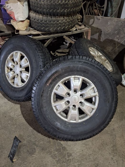 Диски с ризиной комплект